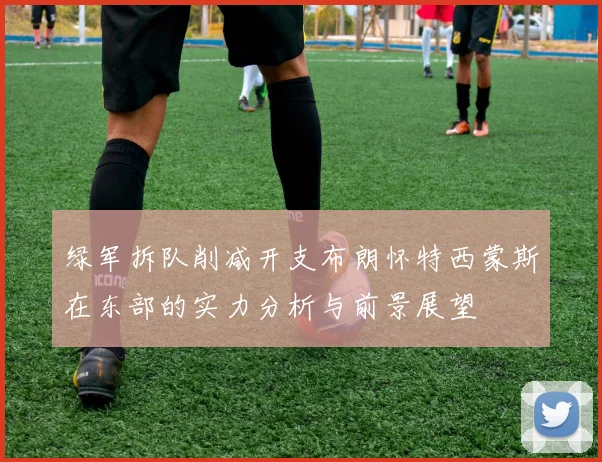 绿军拆队削减开支布朗怀特西蒙斯在东部的实力分析与前景展望