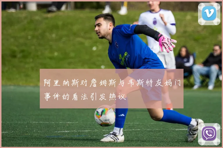 阿里纳斯对詹姆斯与韦斯特友妈门事件的看法引发热议
